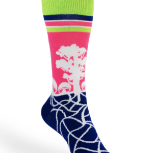 Arbol, micelio y Hongos